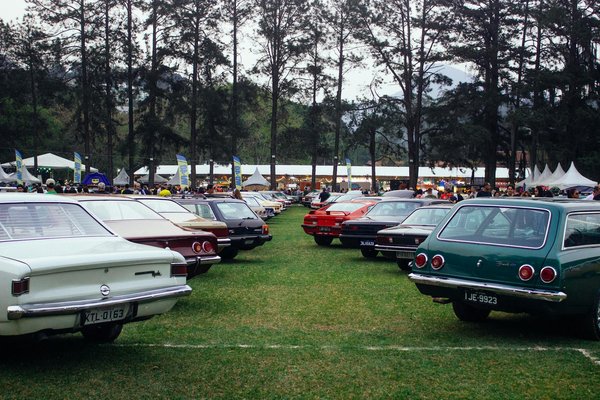 Comment bien faire le choix de ses baskets pour femme ?